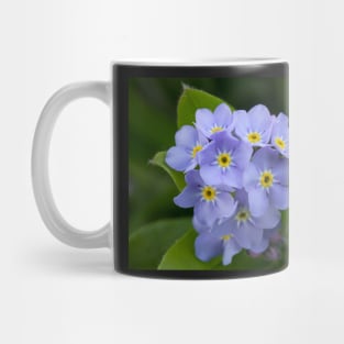 Forget Me Not Mug